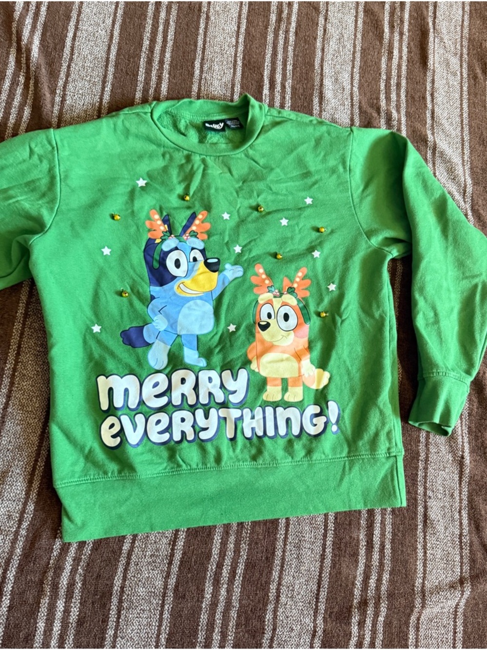 Merry Everything! Bluey Green Christmas sweater